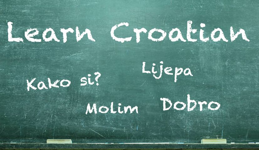 croatian language scholarships 