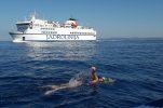 Dina Levačić begins 104 Dalmatian islands swim challenge 
