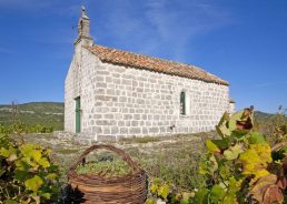 First Croatian museum of viticulture & winemaking opening on Peljesac peninsula 