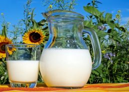 €5 million R&D centre for dairy sector being built in Slavonia  