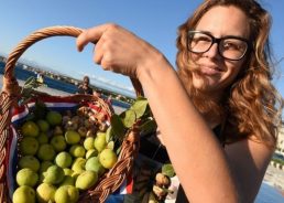 Zadar to host 12th annual Fig Festival on 6-7 September
