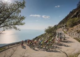 CRO Race 2021: Professional teams from Europe, Asia, America and Australia to take part