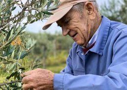 At 96, meet maybe the oldest olive oil producer in Croatia