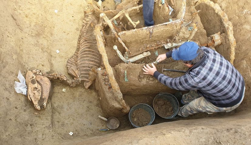 PHOTOS: 1,800-year-old Roman chariot with horses found buried in Croatia | Croatia Week