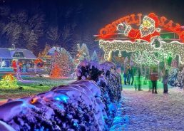 Record 5 million lights at Salajland Christmas Park this season