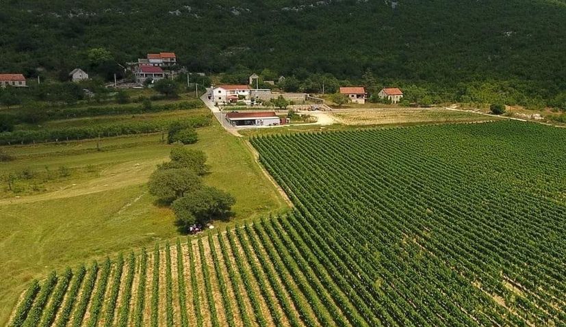 Croatian winemakers at the largest wine fair in North America