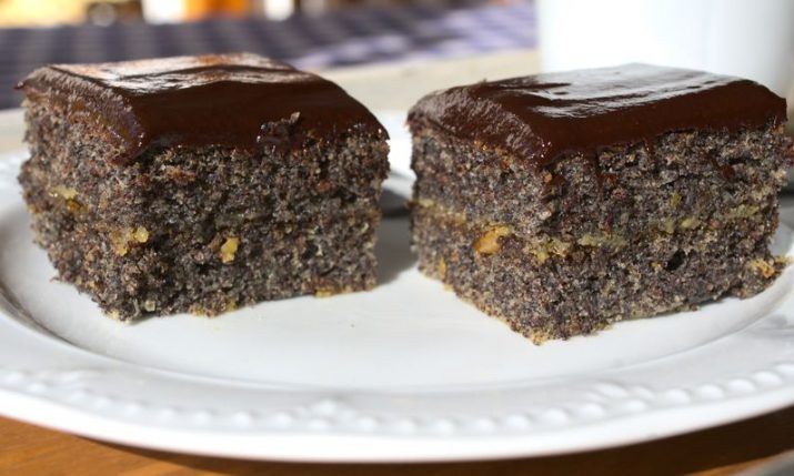 Croatian Recipes: Poppy Seed Squares