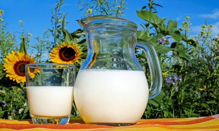 Croatians are big milk drinkers, survey reveals