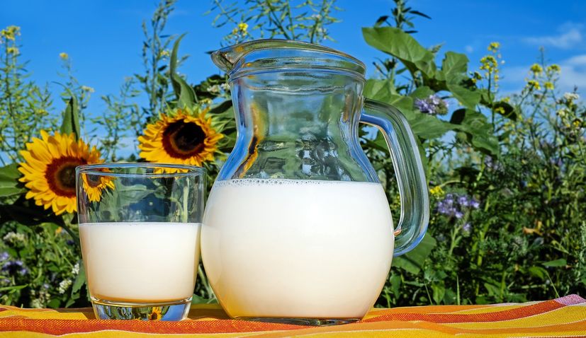 Croatian Agriculture Minister announces buying up 500,000 litres of milk from small farms