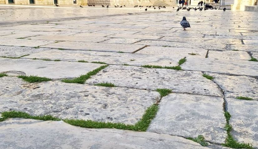 VIDEO: Workers cutting the grass on Dubrovnik’s stone-paved streets  