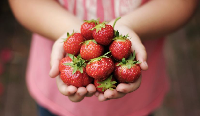 What makes strawberries from Vrgorac so good 