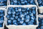 Zagreb’s Distribution Centre  invests in berry-sorting machine