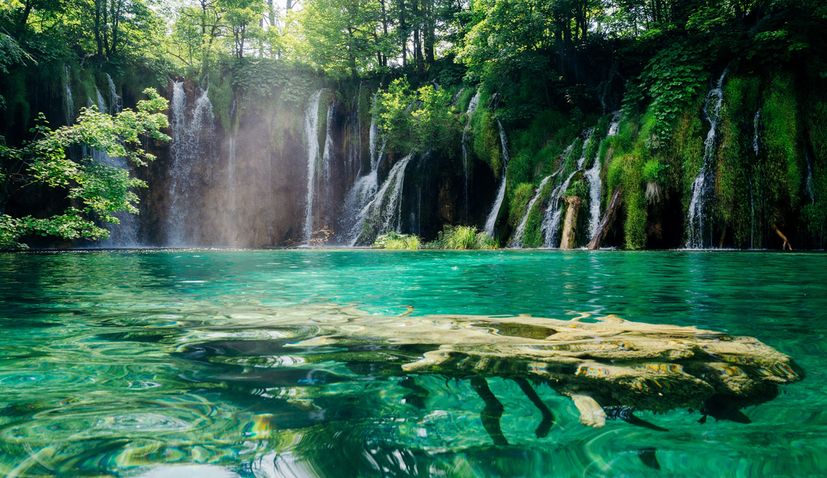 Croatia a nation very rich in biodiversity