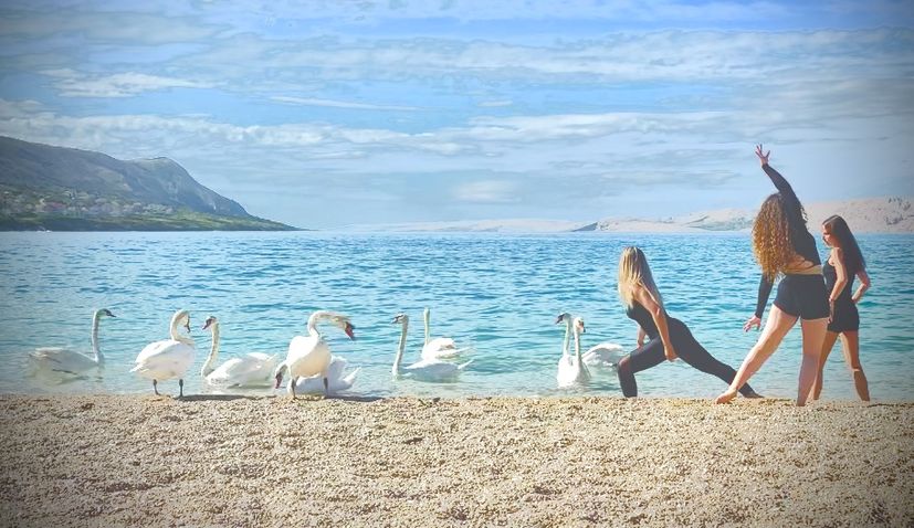 PHOTOS: Swans join dance postcard from Croatian island of Pag 