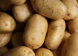 Croatia sees major increase in potato imports