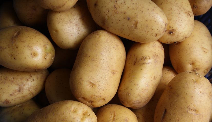 Croatia sees major increase in potato imports