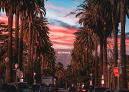 Croatian films awarded at 15th SEEfest in Los Angeles