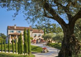 Discovering a beautiful pop-up wine shop in Istria