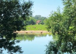 Lonjsko Polje Nature Park sees 50% more visitors