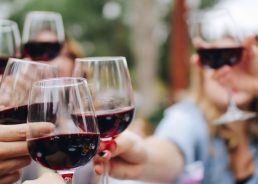 National Croatian Wine Day proclaimed in the United States