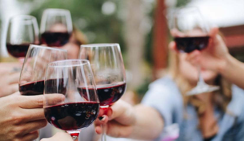 National Croatian Wine Day proclaimed in the United States