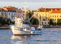 1.8 million tourists visit Croatia in first 16 days of August – bed nights 70% on last year