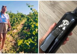 Dog Days of Summer: Introducing the Black Dalmatian