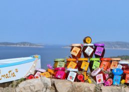 VIDEO: Report on Dalmatia brand on America’s Good Day show