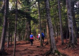 Group hikes to be organised across Croatia from spring