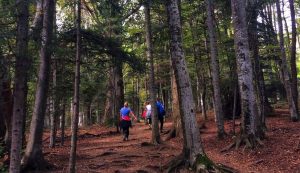 Group hikes to be organised across Croatia as of spring