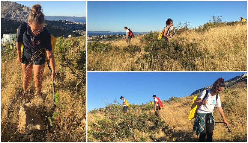 Afforestation around Split: Volunteers cover 500,000m2 to water thousands of seedlings