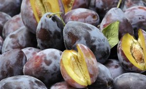 Croatian plum production