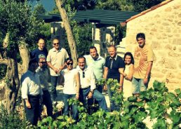 Impressive ratings of Croatian wines by US Wine Enthusiast magazine