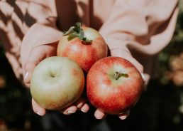 Apples in Croatia: This year’s  yield estimated at 55,000 tonnes