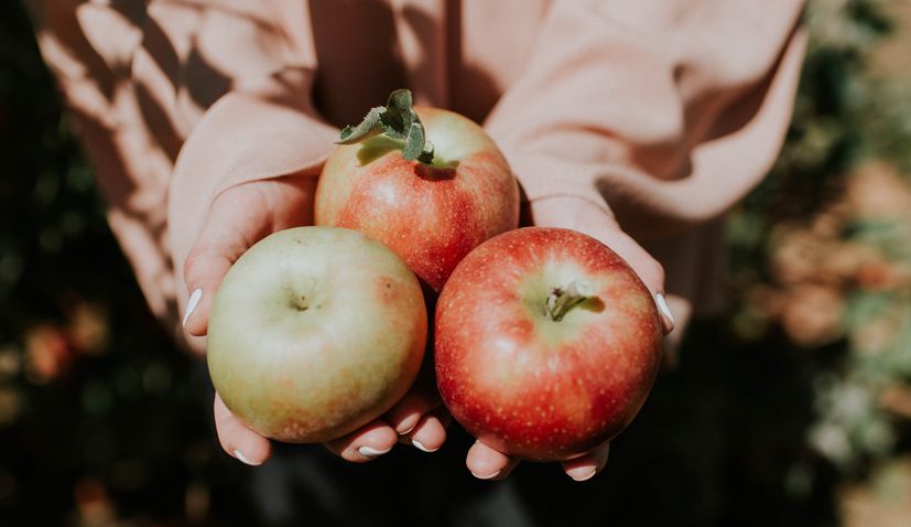 Apple Day: Croatia has 19,210 farms that grow apples