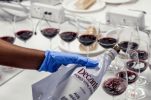 Decanter World Wine Awards 2020: Croatia increases medal haul