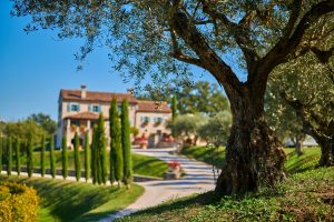 istria places to visit