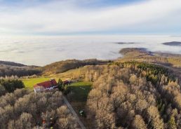 7 green trump cards in the heart of Slavonia for a perfect city escape