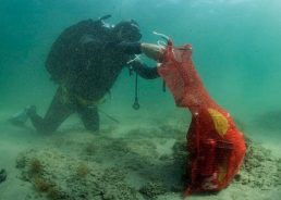 Croatian and Slovenian divers join forces to remove underwater waste in Savudrija Bay