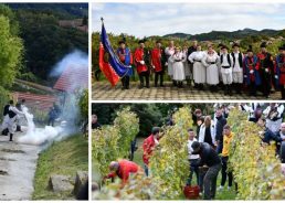 Grape harvest in Croatia: Traditional feast held in Pregrada for 50th time