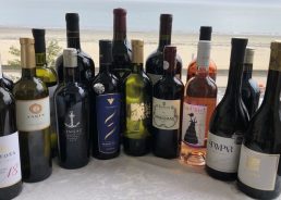 Almost 50 Croatian indigenous wines introduced to US wine lovers