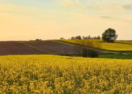 Agriculture and food production key to development and survival of eastern Croatia