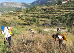 Afforestation in Dalmatia: Boranka announce new actions, free educational kits for schools