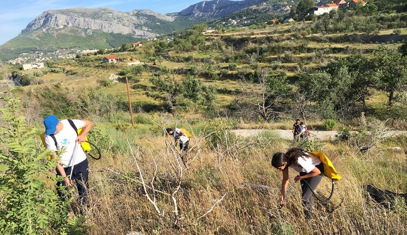 Afforestation in Dalmatia: Boranka announce new actions, free educational kits for schools