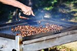Traditional 23rd Zelina Chestnut Festival to be held on 11 Oct