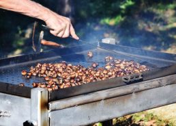 Traditional 23rd Zelina Chestnut Festival to be held on 11 Oct