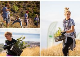 Volunteers, Canadian Ambassador take part in reforestation drive near Split