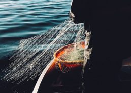 Croatian fishermen request steps to ease COVID impact on their business