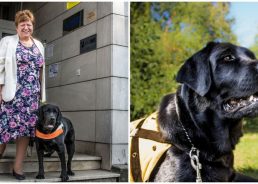 Croatian guide dog volunteer Mira Katalenić among EU Local Heroes