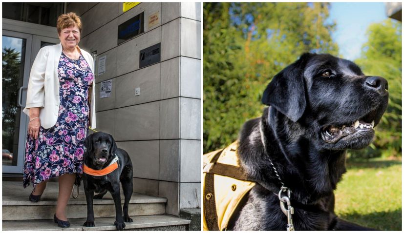 Croatian Guide Dog and Mobility Association